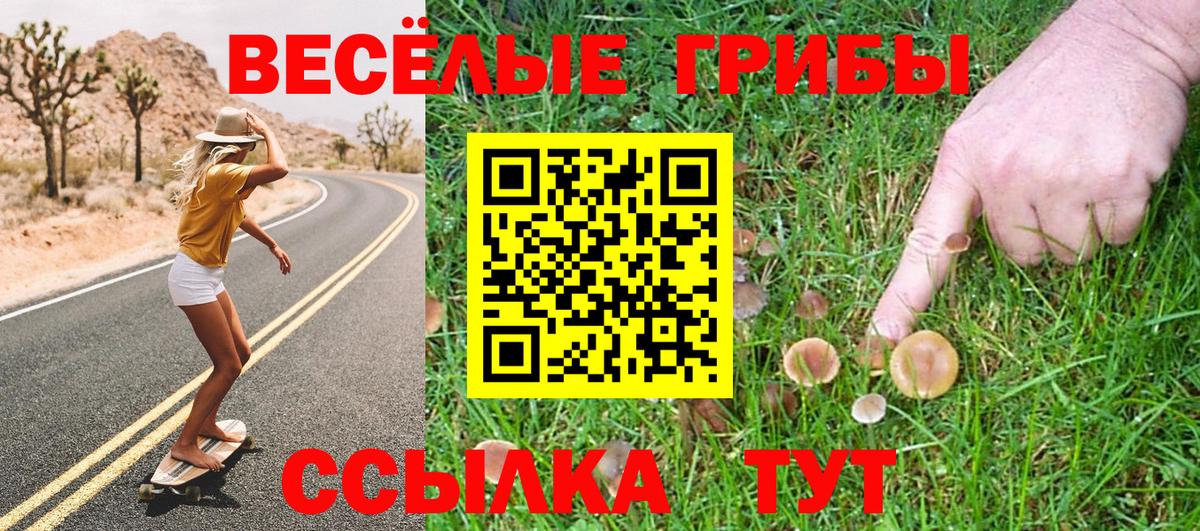 Галлюциногенные грибы Magic Shrooms Реутов